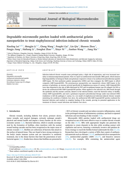 2022 動(dòng)物研究，重組膠原微針，用于慢性傷口