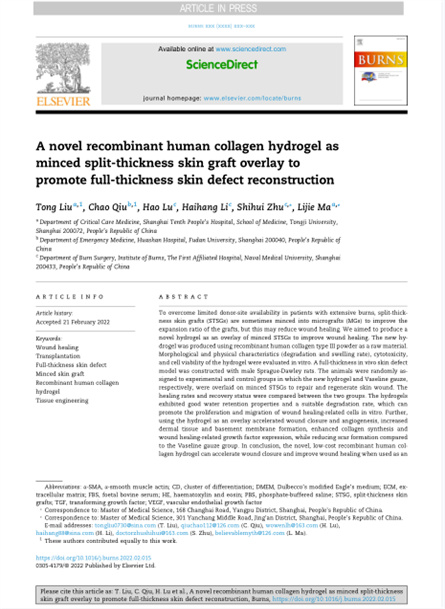 2022 動(dòng)物研究，重組膠原用于微粒皮移植覆蓋